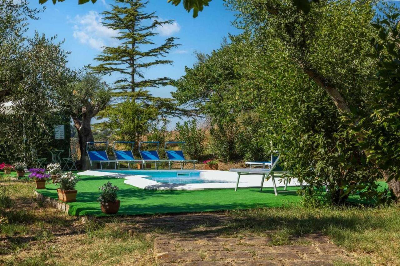 אנקונה La Meriggia Agriturismo- Ampio Appartamento Con Terrazza Esclusiva מראה חיצוני תמונה